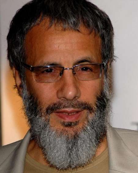 Yusuf Islam An Other Cup